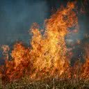 Imagem Incêndios em vegetação e queimadas crescem 200% no RN