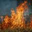 Imagem Incêndios em vegetação e queimadas crescem 200% no RN