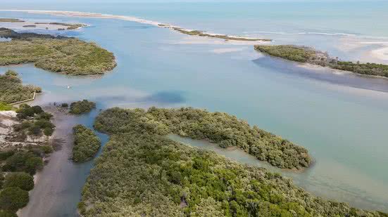 A Bacia Potiguar é crucial para a conservação marinha, com blocos de leilão sobrepondo áreas de proteção ecológica e espécies ameaçadas. - Reprodução/Fábio Arruda