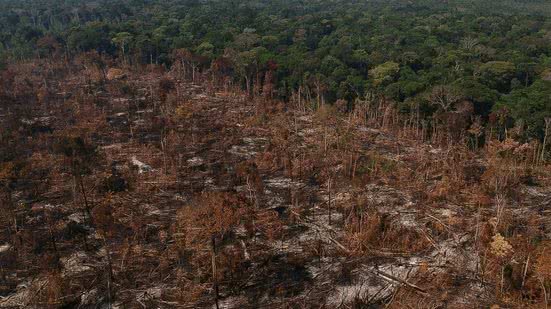 Foto: Bruno Kelly / Amazônia Rea.