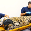 Animal está com alto grau de desidratação e rins e fígado comprometidos - Foto: Saul Schramm/Mato Grosso do Sul