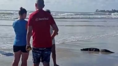 Denuncie crimes ambientais no RN: saiba os números e aplicativos disponíveis para ajudar na proteção da vida selvagem. - TV Ponta Negra