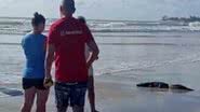 Denuncie crimes ambientais no RN: saiba os números e aplicativos disponíveis para ajudar na proteção da vida selvagem. - TV Ponta Negra