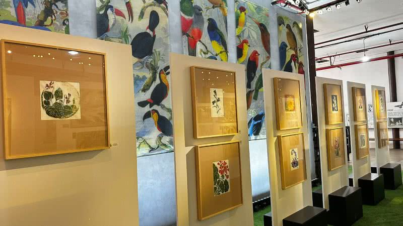 A mostra itinerante, que retrata a cooperação suíça na região amazônica, estará aberta de 9 de maio a 30 de junho, na área de desembarque do Aeroporto de Natal. - Divulgação