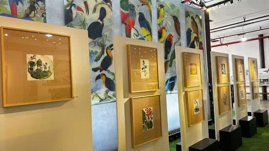 A mostra itinerante, que retrata a cooperação suíça na região amazônica, estará aberta de 9 de maio a 30 de junho, na área de desembarque do Aeroporto de Natal. - Divulgação