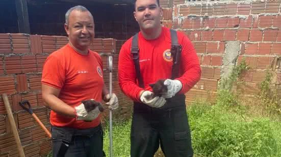 Bombeiros recomendam que fossas e poços sejam tampados para evitar acidentes e garantir a segurança da população. - Divulgação