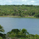 Extremoz mira retomada da bananicultura e aposta na fruticultura como motor da economia