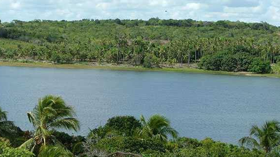 Extremoz mira retomada da bananicultura e aposta na fruticultura como motor da economia