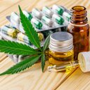 Com mais de 670 mil usuários, o uso medicinal da cannabis no Brasil enfrenta desafios de acesso e altos custos de produção. - Divulgação