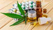 Com mais de 670 mil usuários, o uso medicinal da cannabis no Brasil enfrenta desafios de acesso e altos custos de produção. - Divulgação