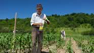 Aposentados do meio rural enfrentam dificuldades para cancelar cobranças indevidas devido à falta de acesso à internet e serviços do INSS - Reprodução/Depositphotos