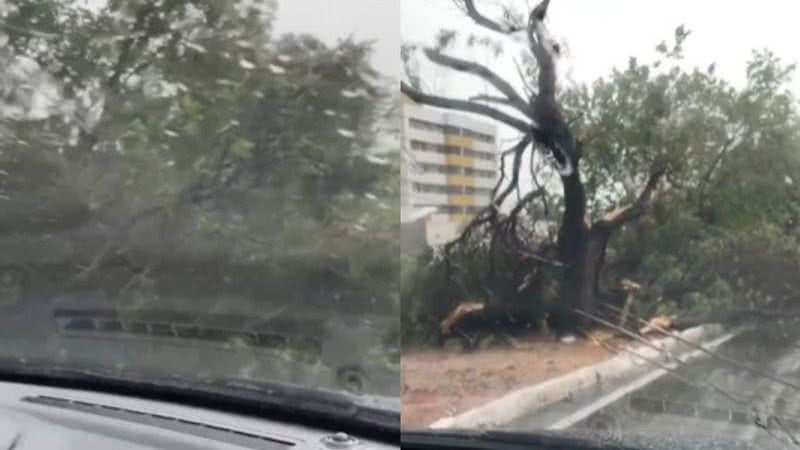 Foto: Reprodução.