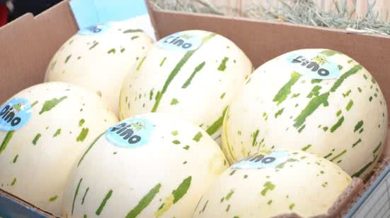 Expofruit integra comitiva brasileira em missão comercial à China - Reprodução