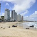 Reprodução: José Aldenir