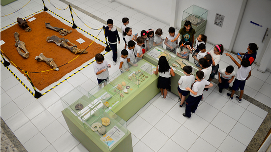 Museu Câmara Cascudo lança programação da Semana Nacional de Museus - Reprodução