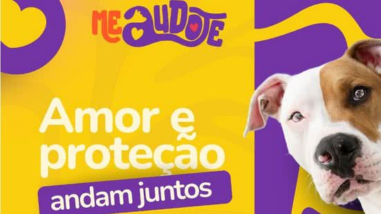 MeAudote: feira de adoção de cães será realizada em Nova Parnamirim - Reprodução
