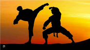 Festival gratuito de artes marciais acontece nesta sexta-feira (30) - Reprodução