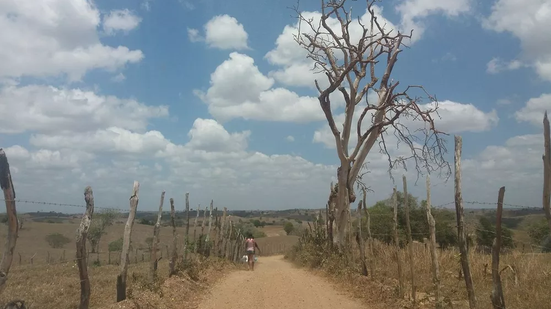 Seca fraca atinge está presente em 40,72% do território potiguar - Anderson Barbosa