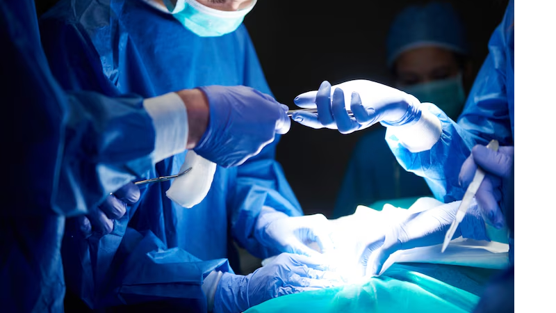 O RN realizou 165 transplantes de medula em 2024, 58 a mais que em 2023 - Reprodução/Freepik