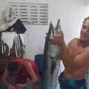 Foto: reprodução.