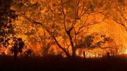 Mata Atlântica e Pantanal enfrentam queimadas alarmantes - Foto: Reprodução/Agência Brasil/Jader Souza