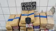 Polícia Militar