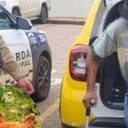 Imagens chocantes mostram o idoso cometendo atos de abuso, resultando em sua prisão em flagrante. - Divulgação