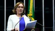 Zenaide diz que aumentar o IOF é necessário - Reprodução
