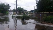 Foto: Reprodução.