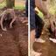 Entenda o que é o ritual de enterro vivo e como ele promete uma experiência de renascimento e conexão com a Mãe Terra. - Divulgação