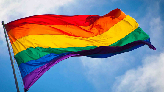 Projeto contra ‘cura gay’ gera tensão na Câmara Municipal de Natal - Reprodução