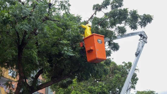 Foto: Divulgação.