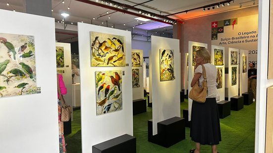 Foto: Reprodução.