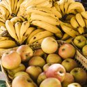 Reprodução/Freepik