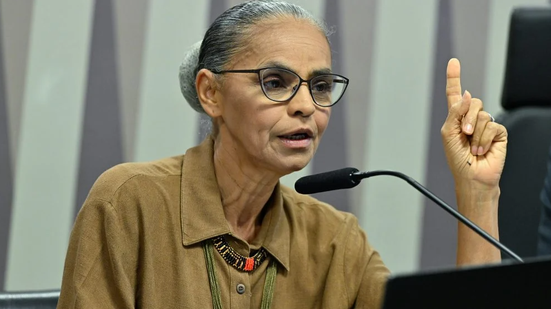A audiência aconteceu em meio a uma escalada de pressões políticas contra a agenda ambiental do governo - Geraldo Magela/Agência Senado