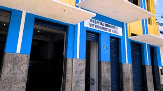Foto: Reprodução.