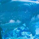 Localizada na Praça Central do shopping, a atração promete encantar visitantes com imagens 3D e sons do fundo do mar. - Divulgação