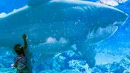 Localizada na Praça Central do shopping, a atração promete encantar visitantes com imagens 3D e sons do fundo do mar. - Divulgação