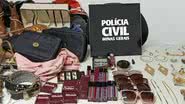 A investigação começou após a empresária perceber o desaparecimento gradual de seus pertences e registrar um boletim de ocorrência. - Divulgação/Polícia Civil MG