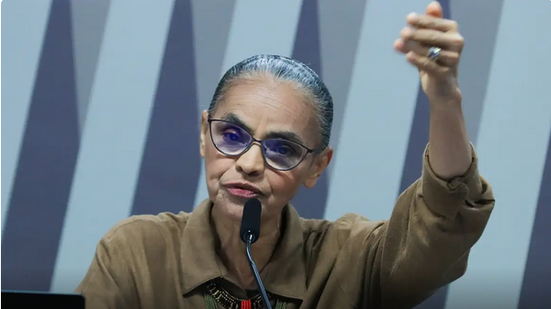 Brasil retoma papel de potência ambiental, afirma Marina Silva - Reprodução