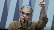 Brasil retoma papel de potência ambiental, afirma Marina Silva - Reprodução