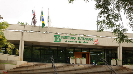 Brasil pronto para testar vacina contra gripe aviária em humanos - Reprodução