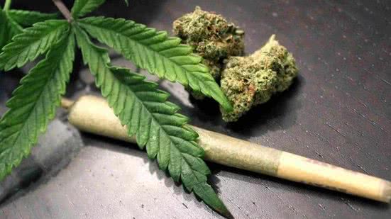 Homem é preso por cultivar maconha em casa na região do Seridó - Reprodução