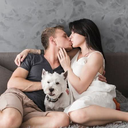 Pet no quarto durante o sexo? Especialista explica o que fazer - Reprodução