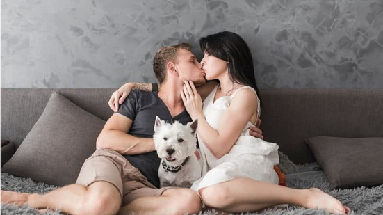 Pet no quarto durante o sexo? Especialista explica o que fazer - Reprodução