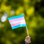 Estados Unidos proíbem mulheres transgênero em competições femininas - Reprodução