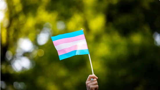 Estados Unidos proíbem mulheres transgênero em competições femininas - Reprodução