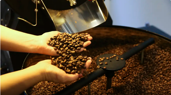 Brasil busca manter café fora de tarifa de 50% anunciada pelos EUA - Reprodução