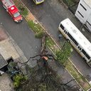 Reprodução/Assessoria
