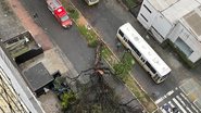 Reprodução/Assessoria
